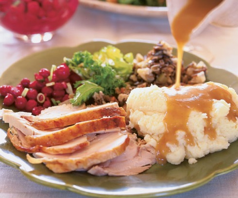thanksgiving turkey and mashed potatoes